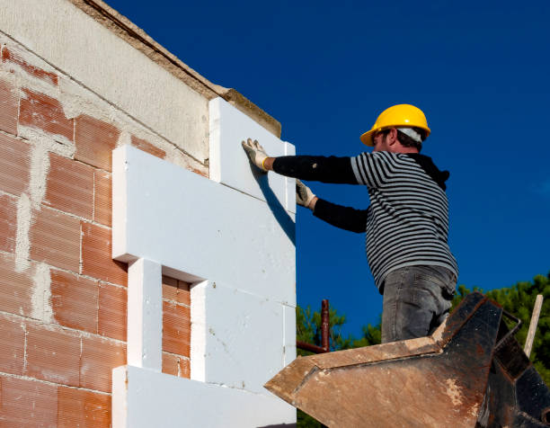 Best Insulation Contractors for Homes  in Moorefield, WV