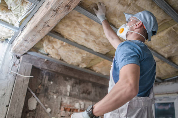 Best Insulation Removal Services  in Moorefield, WV