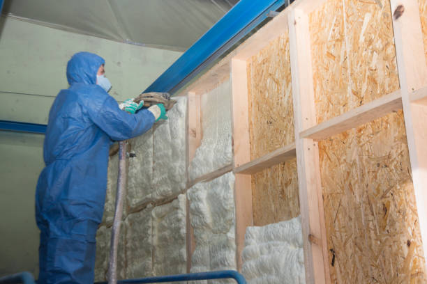 Best Energy-efficient Insulation  in Moorefield, WV