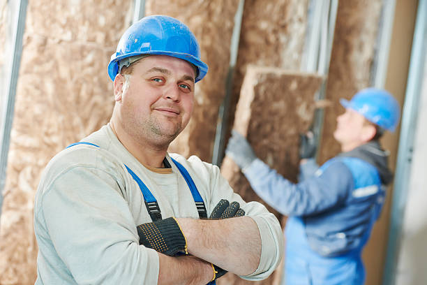 Best Cellulose Insulation  in Moorefield, WV