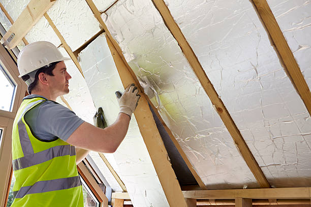 Best Home Insulation Services  in Moorefield, WV