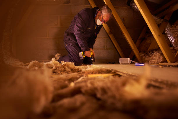 Best Spray Foam Insulation  in Moorefield, WV